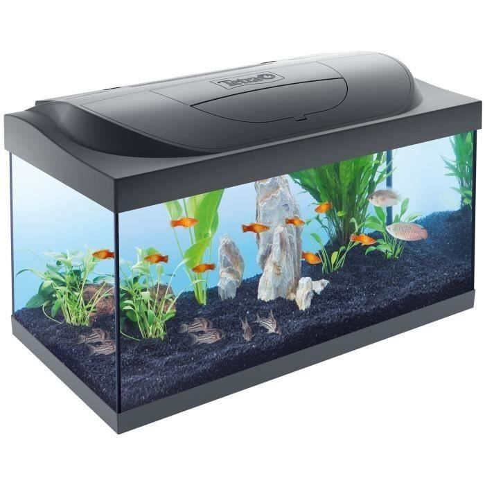 Aquarium moyen